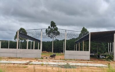 Tipos de Estrutura Pré-Moldadas de Concreto